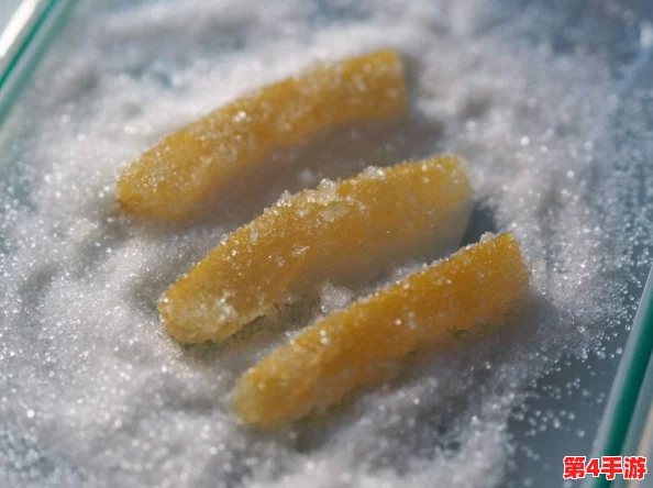 糖心柚子猫：探寻这只甜美可爱宠物的独特魅力与温馨故事