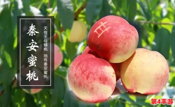 蜜桃窝窝人体77777：绽放青春活力，传递美好正能量！