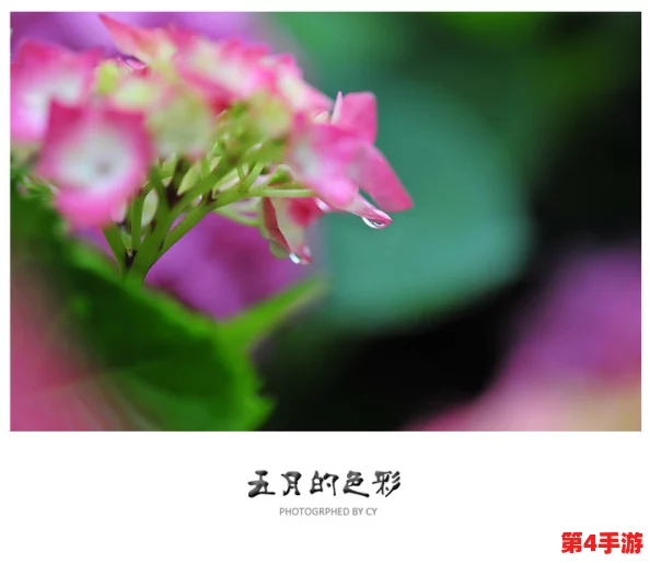 色五五月,绽放出生命的美丽和活力 色五五月,绽放出生命的美丽和活力