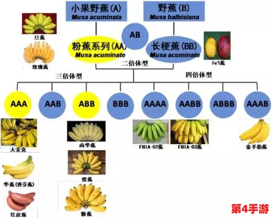 理解麻豆精产一二三产区香蕉的独特优势与市场潜力分析 理解麻豆精产一二三产区香蕉的独特优势与市场潜力分析