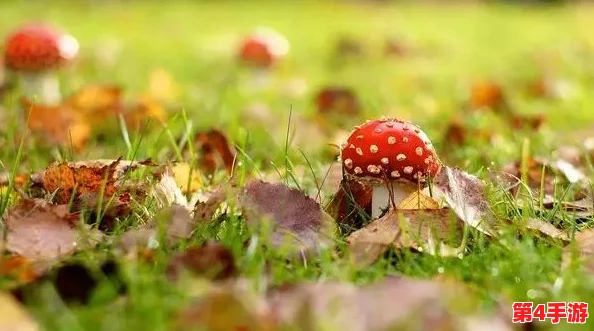 蘑菇91吃瓜黑料：正能量涌动，让我们共同成长！