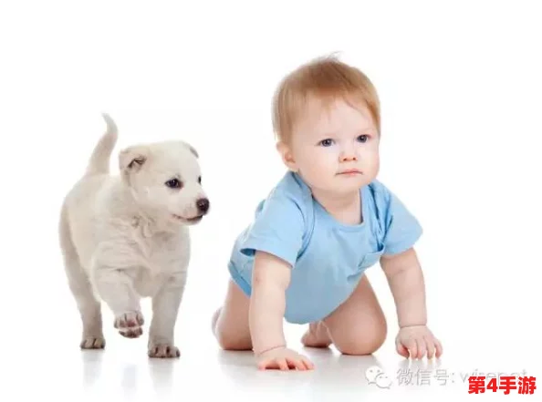 刚入睡时感受到巨大东西在移动，似乎是狗引发的奇妙梦境体验