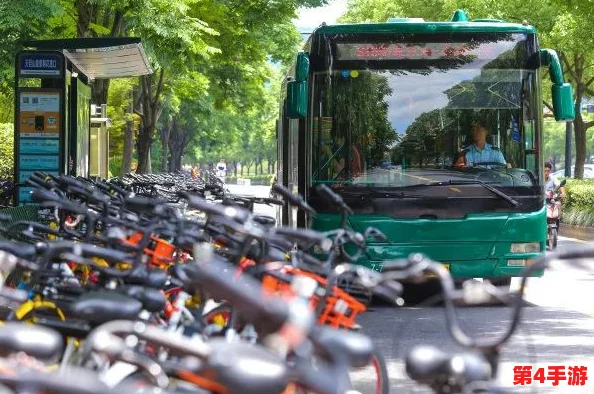 只穿一件外套坐公交车，感受冬日温暖与出行的自由，享受城市的喧嚣与寂静交织的美好时光