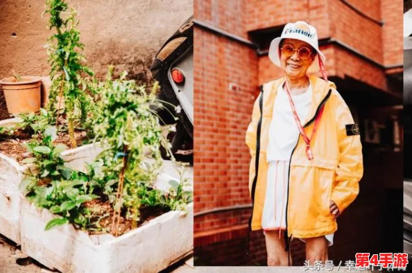 美国老奶奶logo大全最新款：新设计引发热议，成为品牌形象更新的热门选择