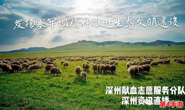大象回家永久不迷路2024，携手亲情与勇气，共赴温暖感人的心灵之旅