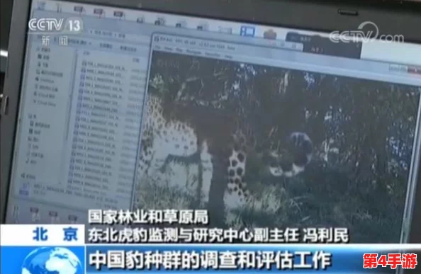 黑花打开生腔，科学家发现新物种揭示生态系统的复杂性与脆弱性，引发广泛关注与讨论
