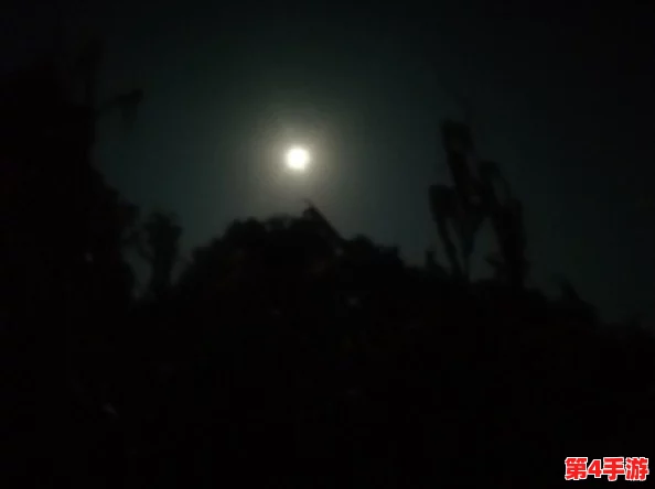 水边之夜未增减板，市政府宣布将于下月举办大型文化活动以促进当地经济发展