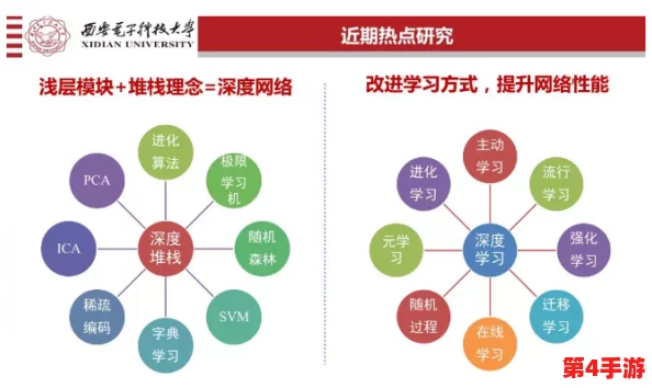 理解X站的多元文化与社区互动，揭示其在网络世界中的独特地位与影响力
