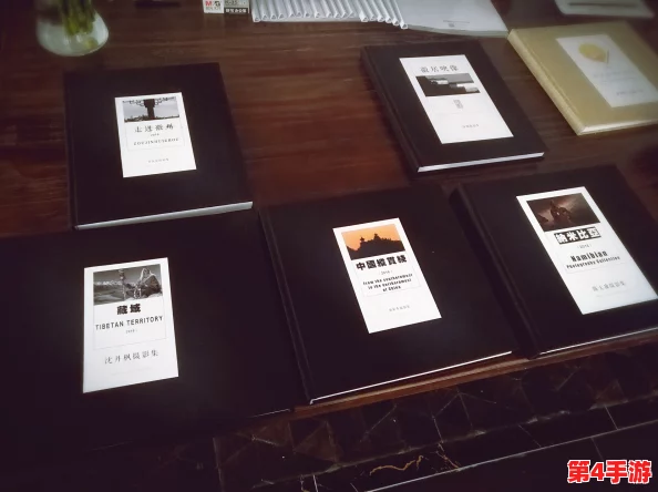 理解X站的多元文化与社区互动，揭示其在网络世界中的独特地位与影响力