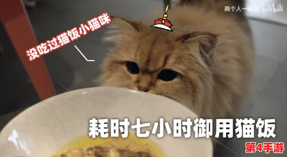 汤姆视频的最新网名tom：带你领略精彩有趣的内容与无限创意的乐趣分享
