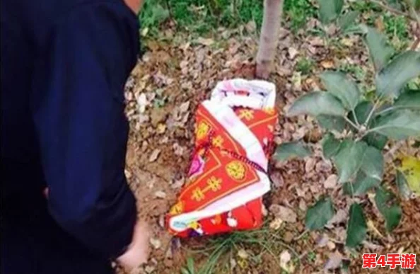 理解穿越火线关小雨拔萝卜的深层含义与游戏策略分析,带你领略其中的乐趣与挑战 理解穿越火线关小雨拔萝卜的深层含义与游戏策略分析,带你领略其中的乐趣与挑战