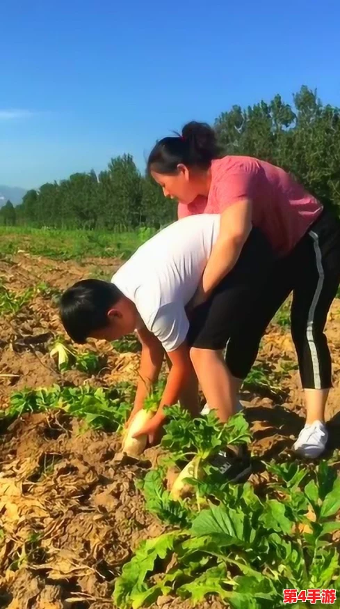 男生和女生一起萝卜碰萝卜，不拘小节共同成长视频