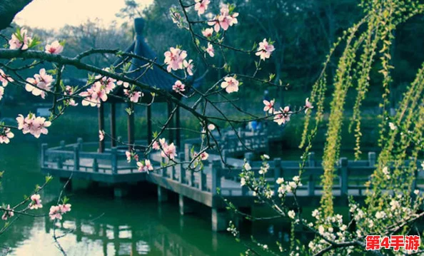 青柠视频：柳暗花明，又见春风