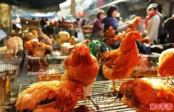 欧美人与性禽动交情品:用户评价揭示了这一现象的多样性与复杂性,值得深入思考和讨论 欧美人与性禽动交情品:用户评价揭示了这一现象的多样性与复杂性,值得深入思考和讨论