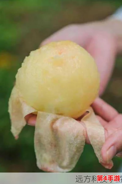 理解7x7x7x任意躁蜜桃的优势，揭示其独特魅力与市场潜力