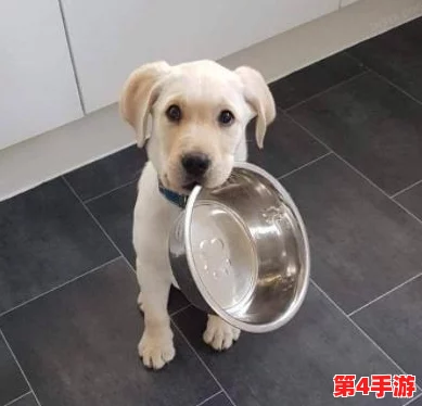 两人 一人吃10分钟：理解饮食习惯对健康的影响与时间管理的重要性