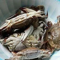 江南百景图宁波府特产全览：从渔盐美食到传统工艺，详尽汇总介绍当地特色