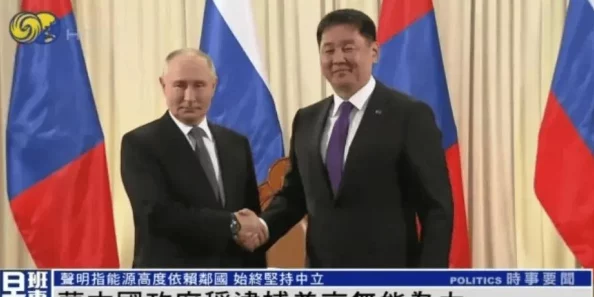 2024版网站免费进入窗口软件深度解析与使用指南