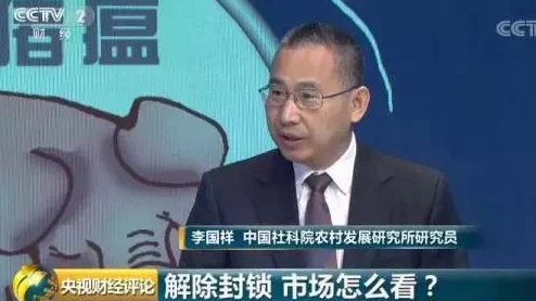 铿锵锵锵锵锵好多少破解：在现代社会中，如何有效应对信息过载与复杂问题的挑战？