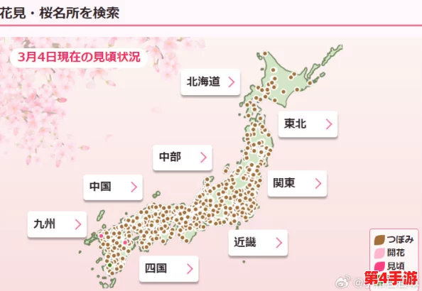 病勤楼栋樱花未增减：2024年春季赏樱新趋势与疫情后的变化分析