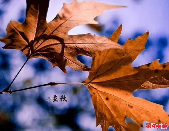 闺蜜给我找两个外国人原文:2024年全球气候变化与国际合作的新机遇 闺蜜给我找两个外国人原文:2024年全球气候变化与国际合作的新机遇