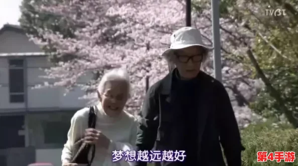 老卫和淑：一对普通夫妻的温馨生活与奋斗故事，展现平凡中的不平凡人生旅程