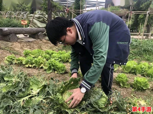 糖心娜娜：甜蜜与温暖交织的故事，带你走进她的生活与梦想世界