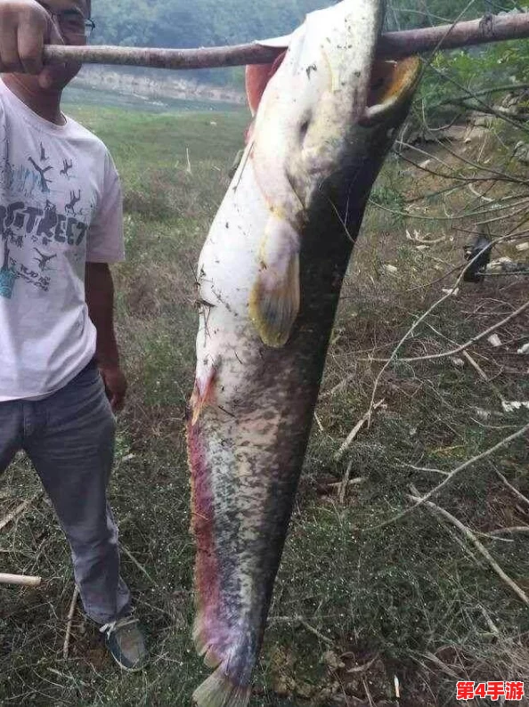 星露谷物语中寻觅鲶鱼踪迹：最佳垂钓地点与技巧指南