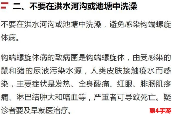 和部长出差遇大暴雨，紧急应对措施启动，确保团队安全与行程顺利进行