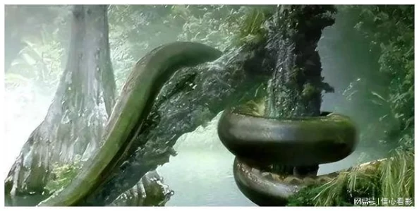蛇王的尾巴高ah:神秘生物现身,引发科学家们的热议与研究新方向 蛇王的尾巴高ah:神秘生物现身,引发科学家们的热议与研究新方向