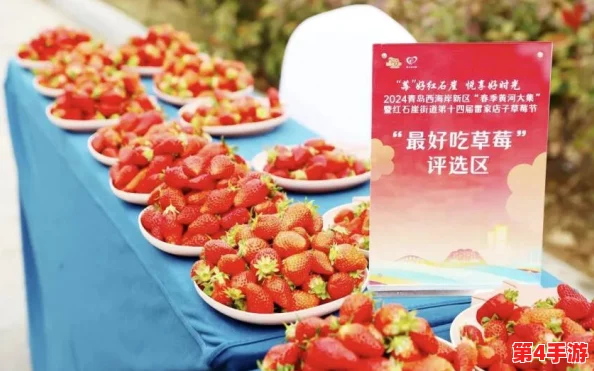 精品产区一二三区草莓迎来丰收季，品质优良吸引消费者热捧与市场关注
