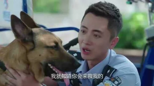 张警犬9分10秒头撞玻璃网盘，展现了勇敢无畏的精神和对工作的执着追求，让人倍感振奋！