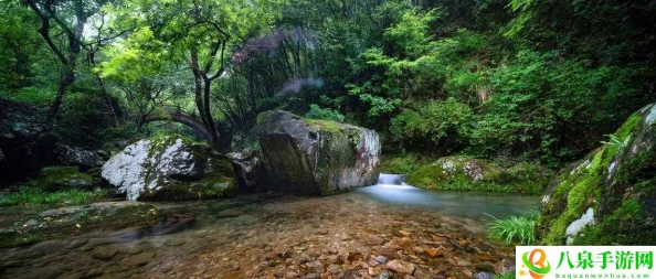 桃源洞口已是溪水，游客纷纷前来观赏美丽自然景观与清澈流水的奇妙交融