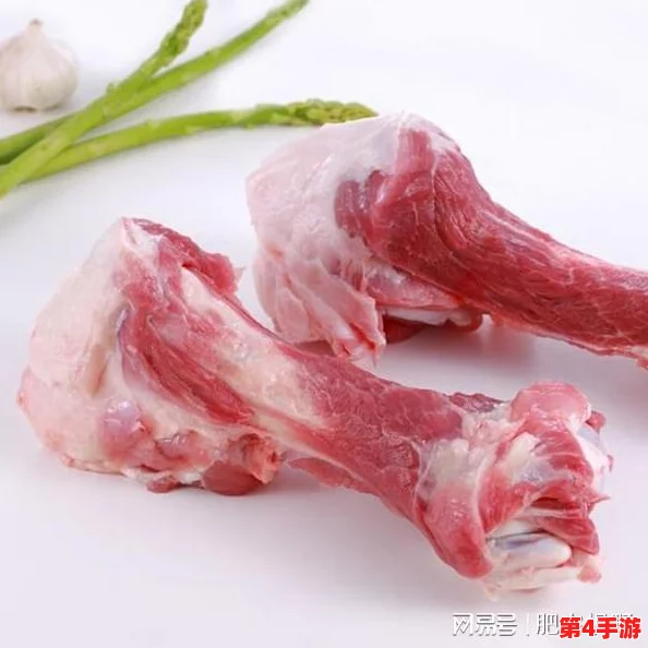 理解jalapxaxwaswaswasxilxilx吗：深入分析其含义与背景，探讨相关文化现象