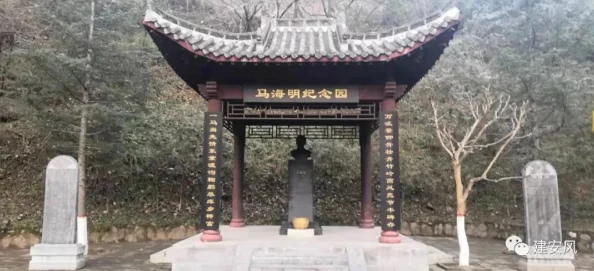 日韩无砖：新型建筑材料的崛起与未来发展趋势分析，推动绿色建筑革命