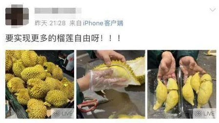 榴莲视频污：深入理解其背后的文化现象与社会影响分析