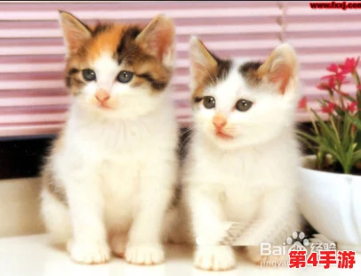 猫メイド像素下载安装免费，让你感受到无限的快乐和创造力
