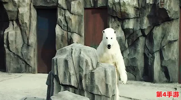 大白屁股videosHD：揭示动物世界中的独特美景和生态系统