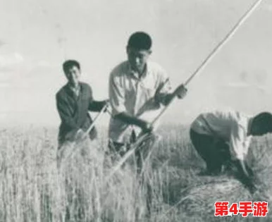 乡村傻子一杆枪闯天下，智勇双全笑傲江湖视频