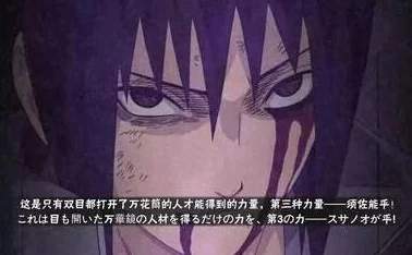 火影18十免费解锁版：用户评价极高，畅享无广告游戏体验，尽情感受忍者世界的魅力！