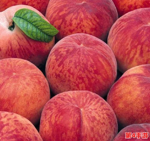 美丽的水蜜桃2最经典的一句：让我们一起品味这份甜蜜与温暖，感受生活的美好瞬间