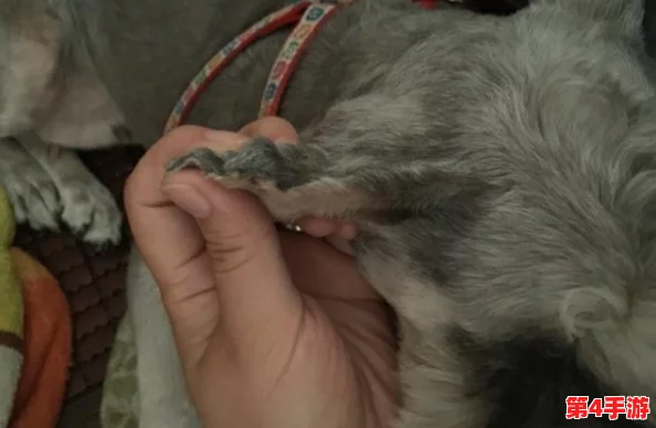 撕开内衣 挠奶头和屁股：这种行为是否反映了当代人对身体界限的挑战与性别观念的变化？