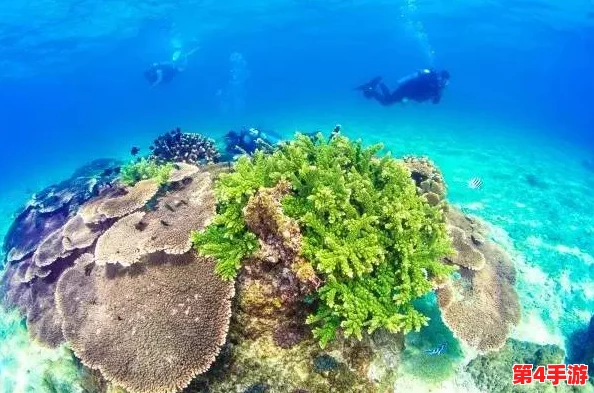 苦海南岸有什么？揭示了这片神秘海域的独特生态与丰富资源，吸引众多科学家前来研究