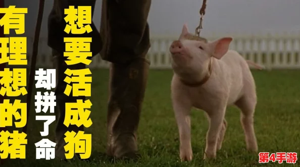 人or猪or狗：探讨不同生命形态的价值与意义，反思我们在社会中的角色与责任