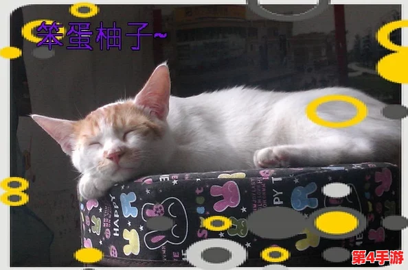 9-1-1吃瓜爆料官网小僵尸柚子猫：深入理解这一现象背后的故事与影响分析
