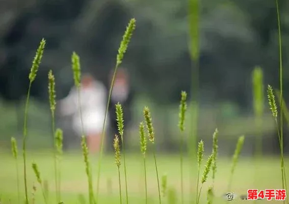 周华兰与于飞高戌：两位艺术家的创作风格与人生经历的深度对比分析