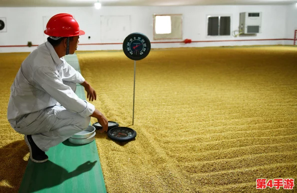 成品短视频下载网站有哪些软件？2024年热门应用推荐与使用技巧分享