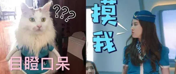 丰满多毛多水BBBBB，网友评论：这个标题真是太有趣了，让我忍不住想点进去看看内容是什么！