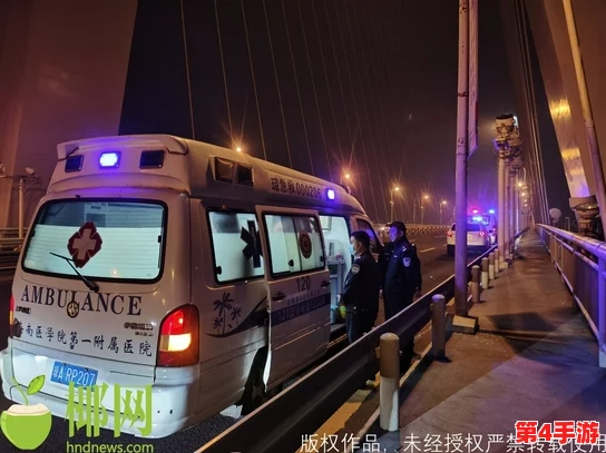 男ji大巴猛烈进出视频，揭示了现代社会中人们对情感与欲望的复杂理解与追求