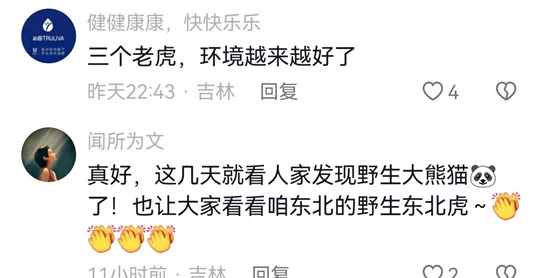 四虎最新地域网名曝光，网友热议背后含义与影响，引发广泛关注与讨论